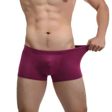 High Sexy Underwear Men Men's Boxer Nylon Spandex Shorts Men Bulge Pouch Soft Underpants Boxer Homme 4 Colors GS