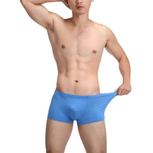 Hot Sale Mens Panties Comfortable Madal Male Underwear Plus Size L-4XL Men's Boxers Sexy Underpants ropa interior hombre GS