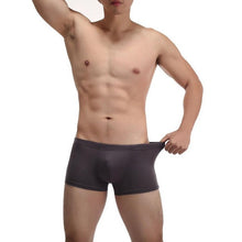 Hot Sale Mens Panties Comfortable Madal Male Underwear Plus Size L-4XL Men's Boxers Sexy Underpants ropa interior hombre GS