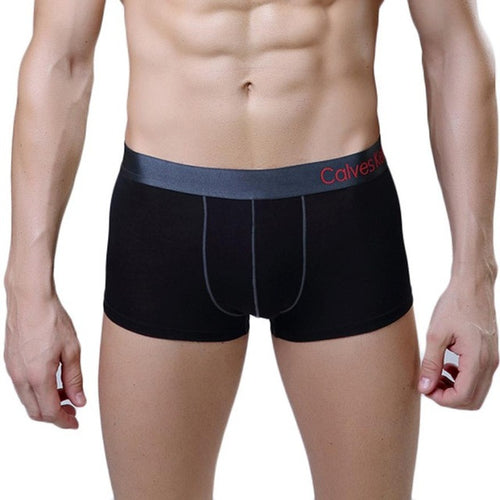 New Arrival Male Panties Modal Bulge Pouch Desgin Sexy Soft Mens Underwear Underpants Male Sexy Boxer Hombre GS