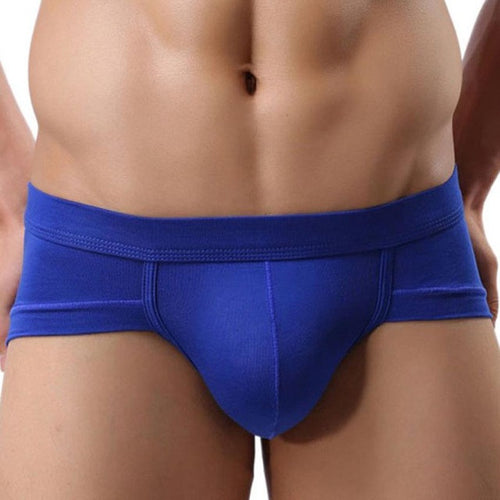 New Fashion Underwear Men Nylon Spandex Sexy Underpants Men's Briefs Shorts Hombre Bulge Pouch Soft Panties Male GS