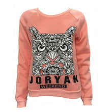 3Colors New Fashion Women  Owl Print Long Sleeve Casual Loose Tees Tops Women T-Shirt Poleras De Mujer Camisetas GS