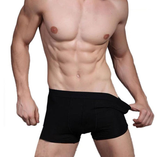 4 Colors  New Hot Men Underwear High Quality Bamboo Fiber Solid Men's Boxers Soft Underpaties Men Male Shorts Panties GS