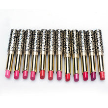 12pcs/lot Lipsticks Lip Stain Makeup Lot Leopard Moisturizing Lip Stick Set Matte+Shimmer Easy to wear Anne GS