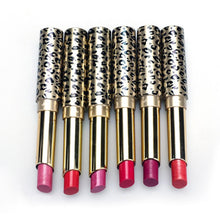 12pcs/lot Lipsticks Lip Stain Makeup Lot Leopard Moisturizing Lip Stick Set Matte+Shimmer Easy to wear Anne GS